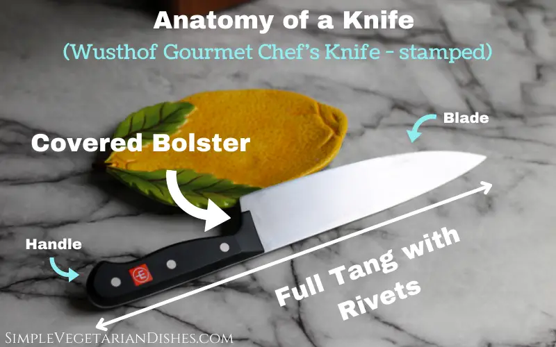 anatomy of a knife covered bolster full tang with rivets infographic