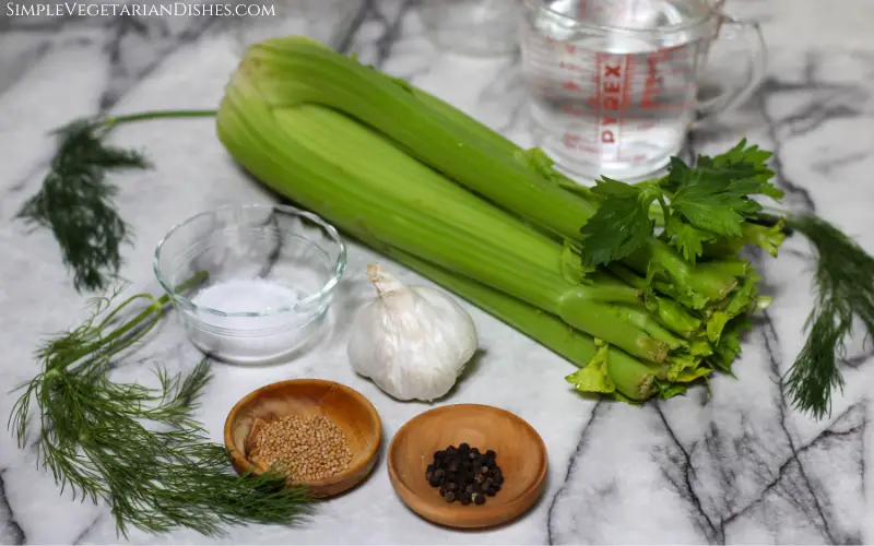 celery garlic dill mustard seed black peppercorns salt and water on white marble table