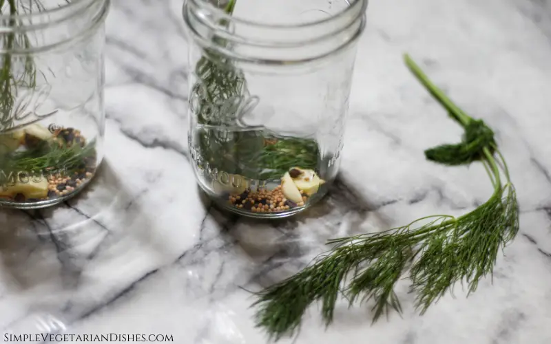 fresh dill in front of two pint jars full of pickling spices