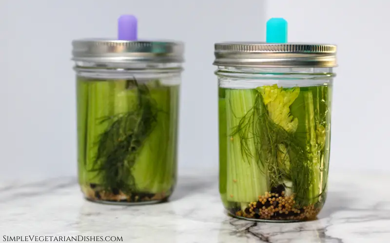 fermented celery in process in two pint jars on white marble table