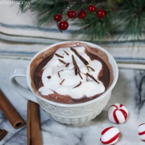 protein hot chocolate topped with whipped cream and shaved chocolate with cinnamon sticks, peppermint candies and winter foliage in the background