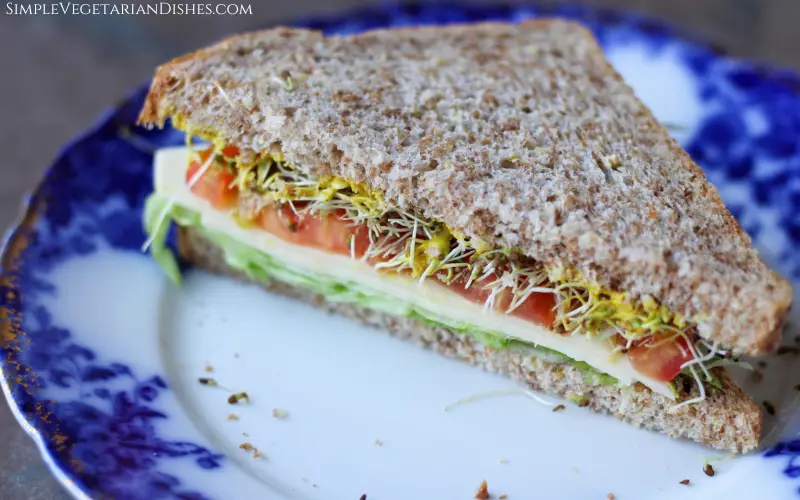 sandwich half with cheese, lettuce, tomato, alfalfa sprouts and mustard on blue china plate