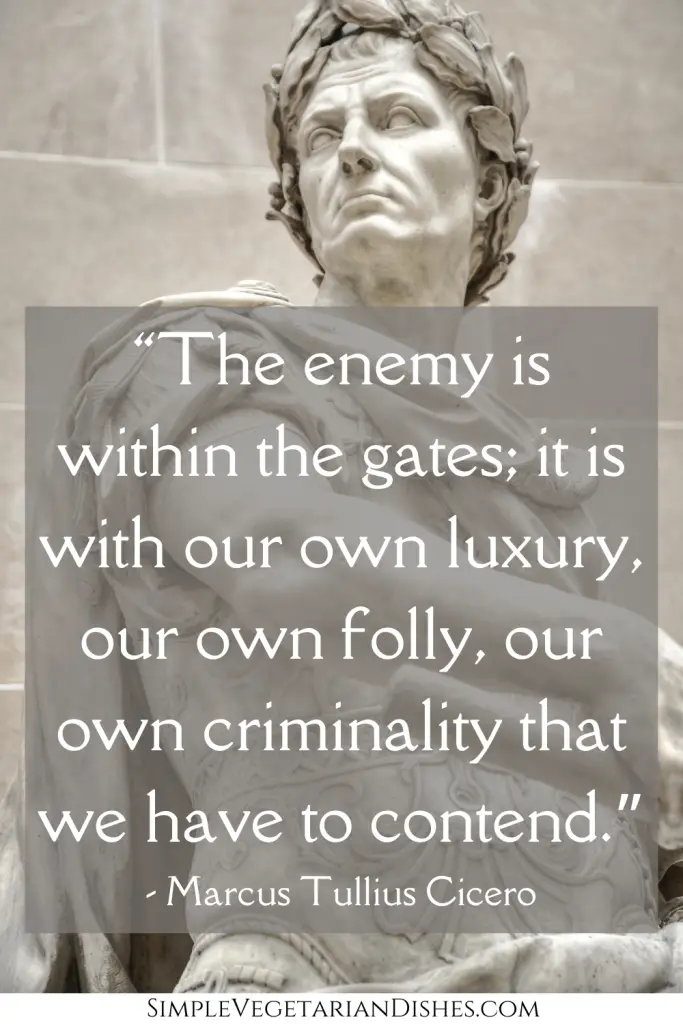 marcus tullius cicero quote with roman statue of a man dressed as a soldier with a laurel crown in background