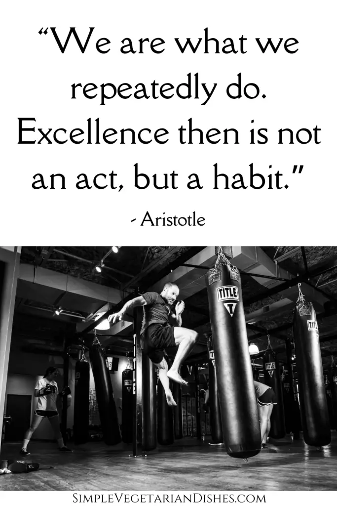quotes on self-control and discipline aristotle quote with man jumping up to kick a punching bag